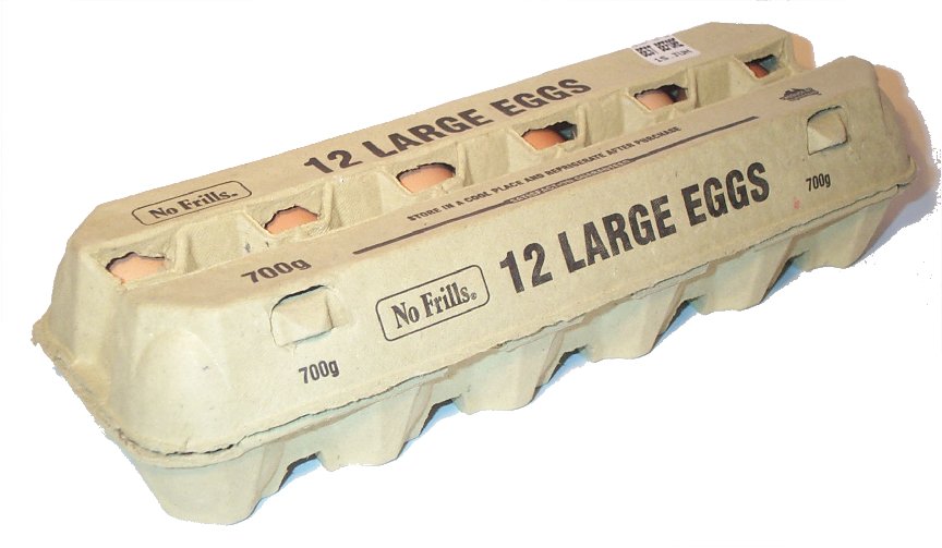 Egg carton closed.jpg